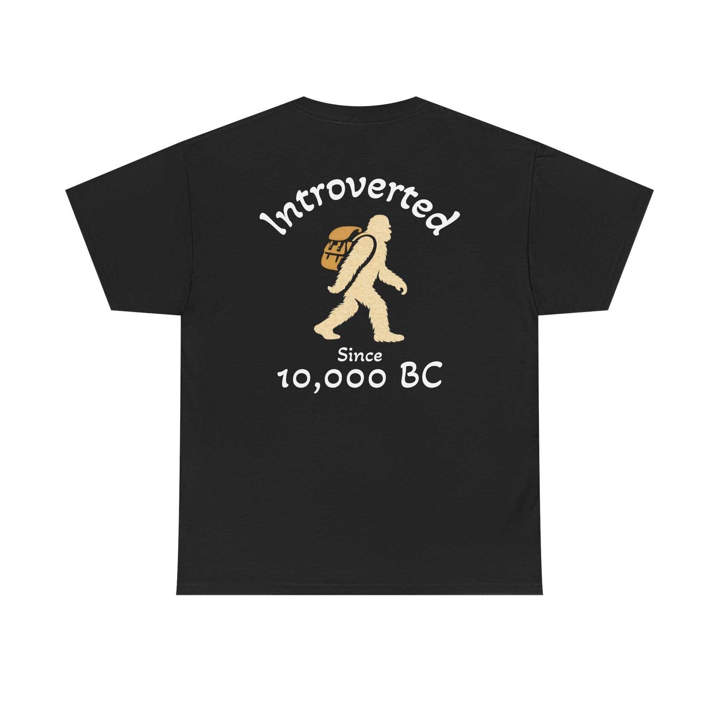 Introverted Tee vintage shirt made of 100% US cotton with classic fit and humorous design